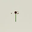 Duo Tone Spoon - Green/Pink