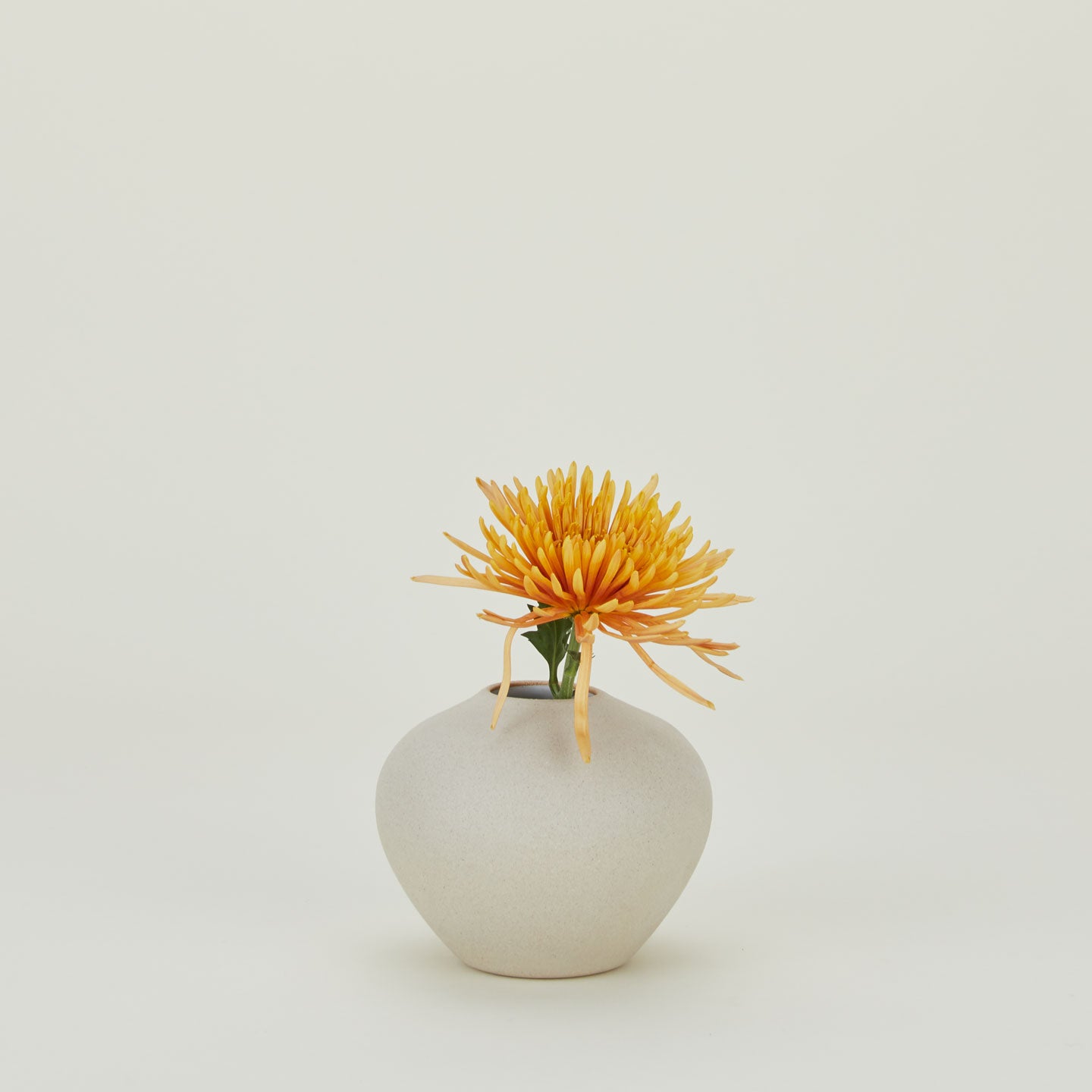 Verdure Vase in Natural in Medium size with flowers