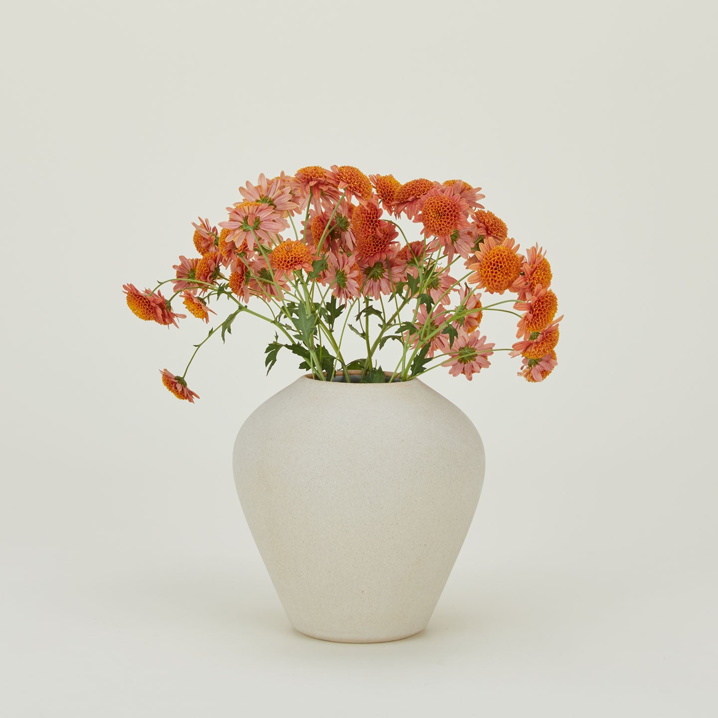 Verdure Vase in Natural in Large size with flowers.