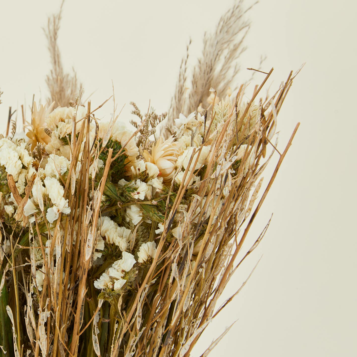 Close up view of Andaluca lacey dried floral bouquet.