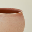 Close up view of Berg's Potter Delphi pot 