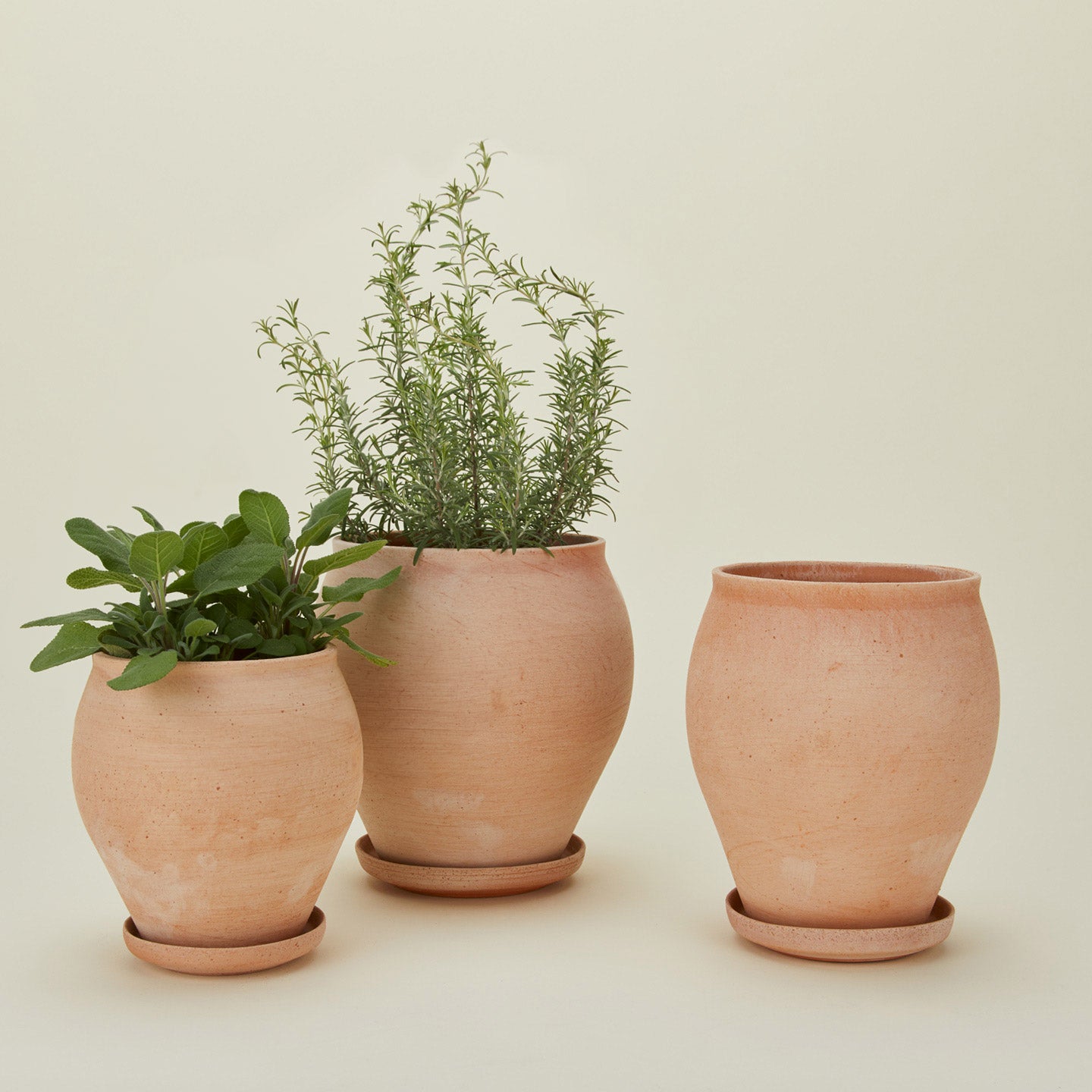 Berg's Potter Delphi Pot family.