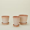 Berg's Potter Helena terracotta pot family.