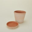 Berg's Potter medium Helena terracotta pot with tray removed