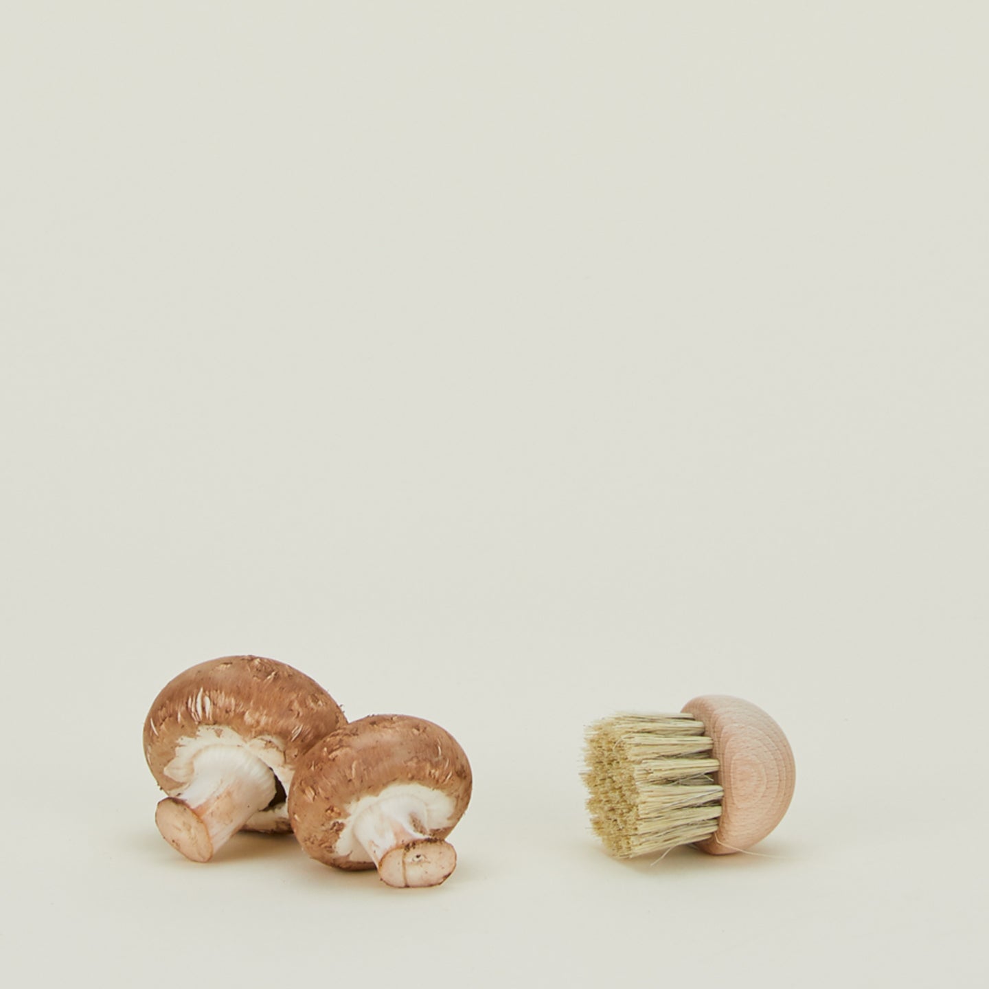 Mushroom Brush with mushrooms