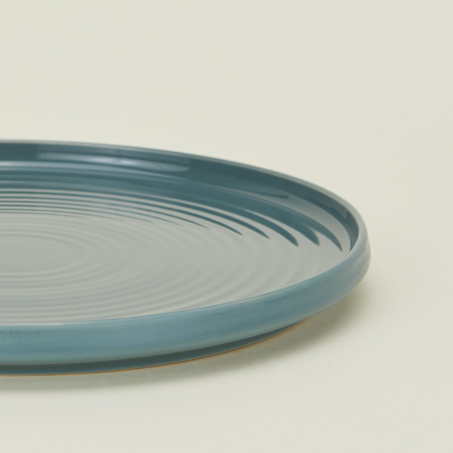 Close up view of essential dinner plate in peacock
