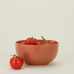 Essential serving bowl in terracotta with tomatoes