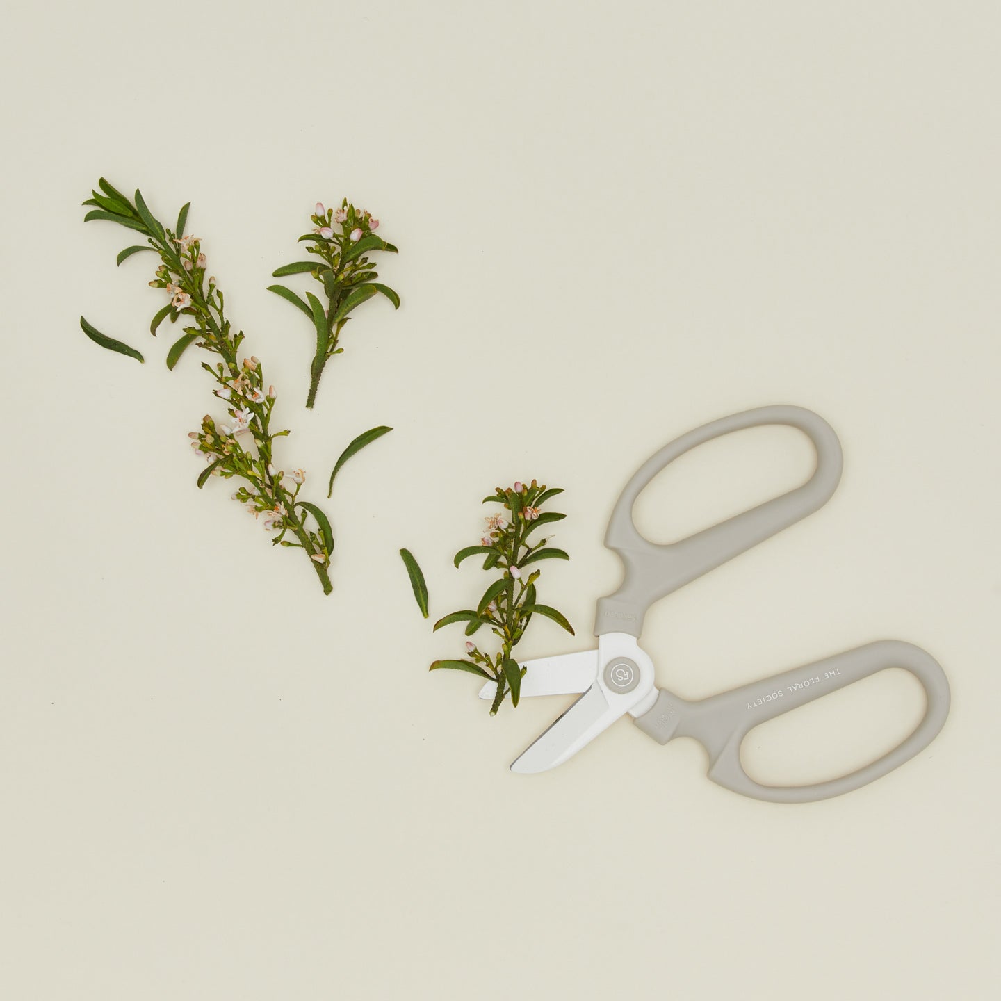 Floral Society floral clippers with cut florals