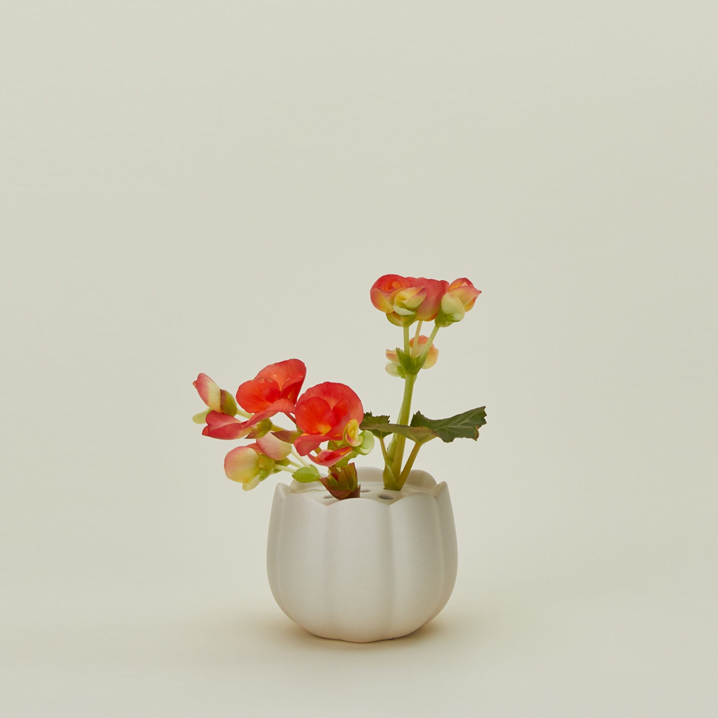Floral Society flower frog vase in small with florals