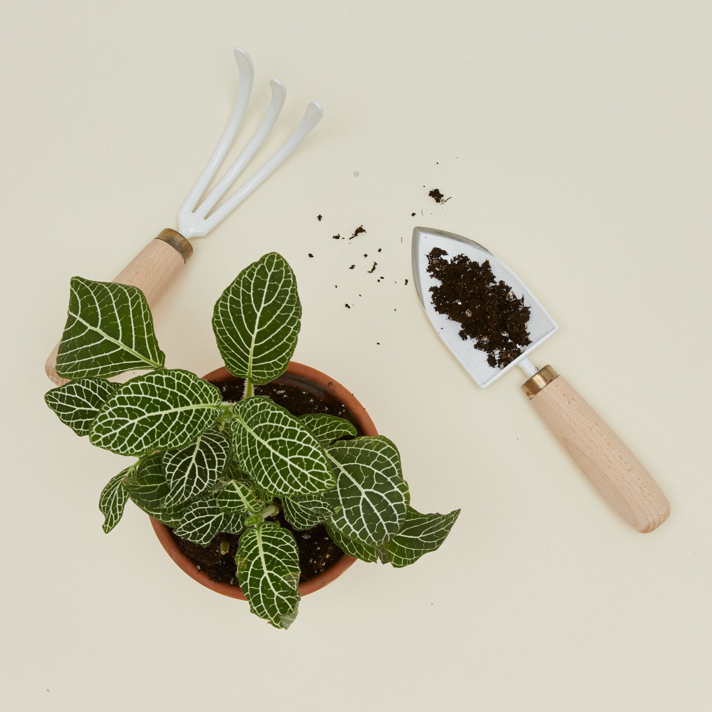 Floral Society garden tool set with potted plant