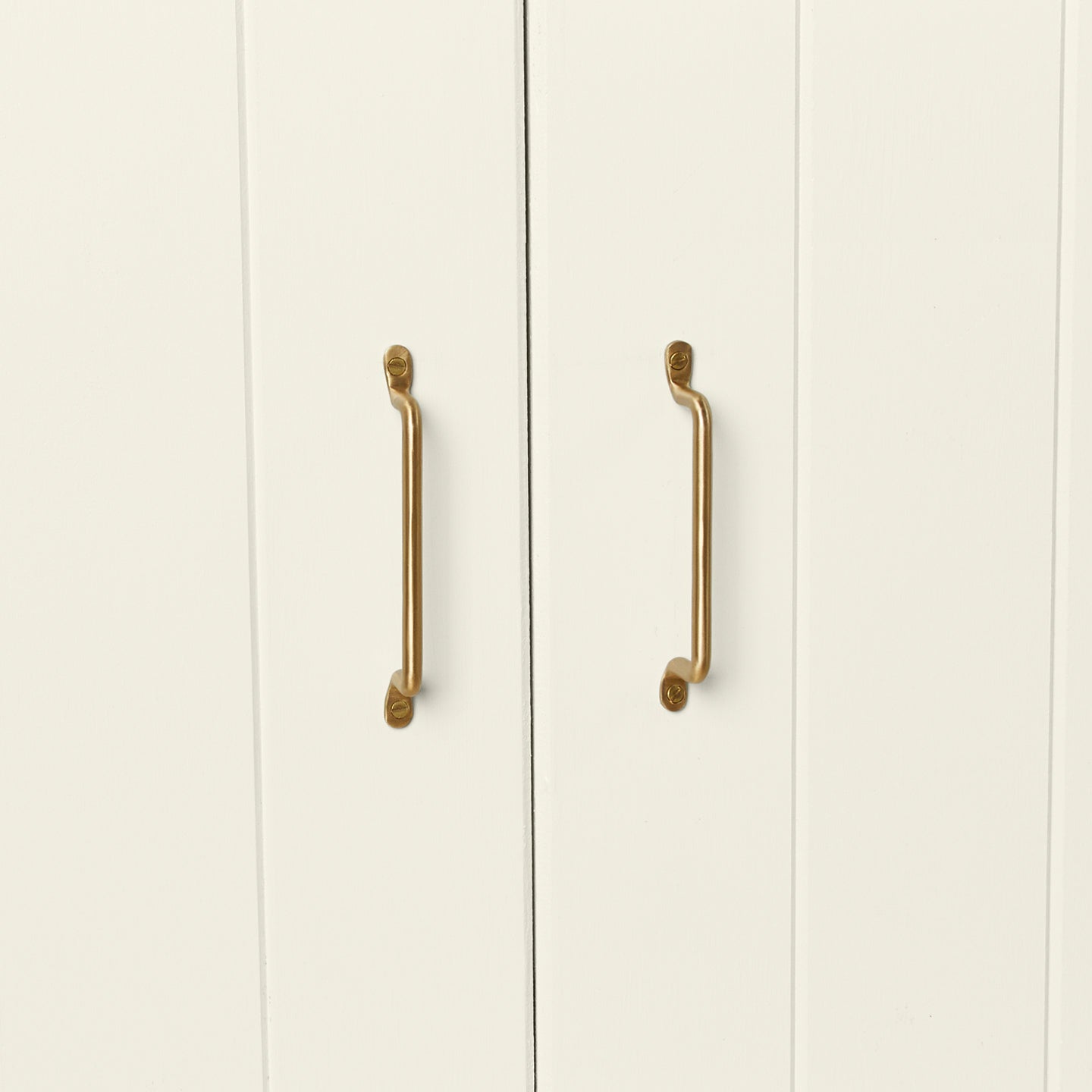 Two brass handles on cabinet doors
