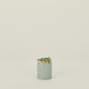 Scalloped Match Striker - Mint Green