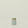 Scalloped match striker in mint green