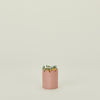 Scalloped Match Striker - Pink