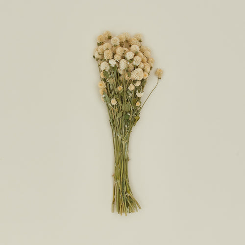 Lovejoy farms dried amaranth