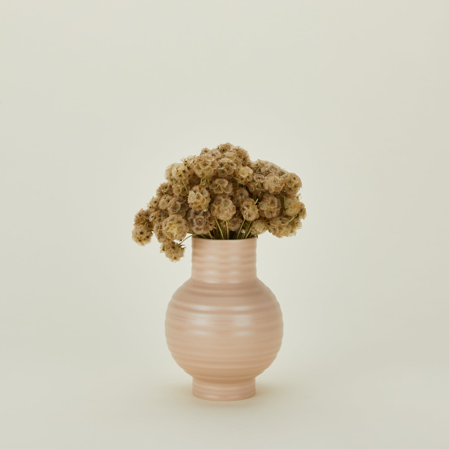 Lovejoy farms Dried Scabiosa Pods in essential vase