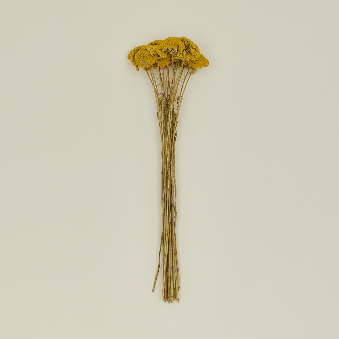 Lovejoy Farms Dried Yarrow