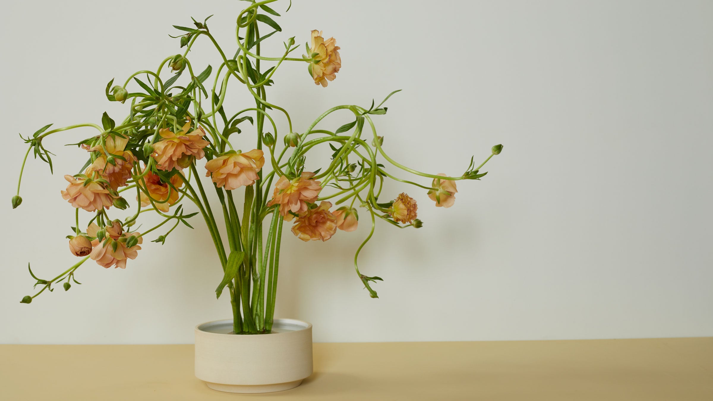 A modern cereal bowl as an ikebana vase.