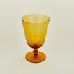Detailed view of optic goblet in amber