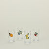 Berry & Citrus Juice Glasses, Set of 4