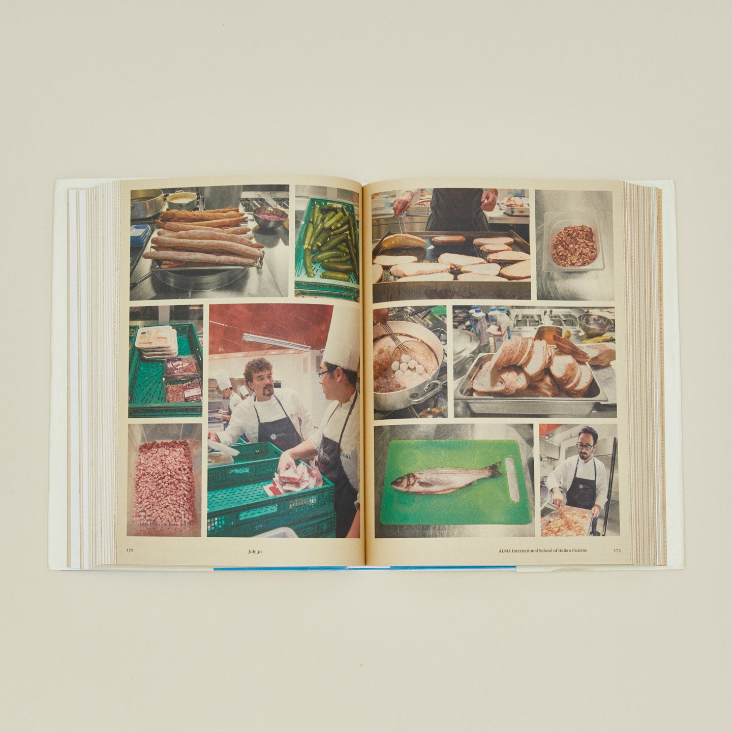Bread is Gold Cookbook open