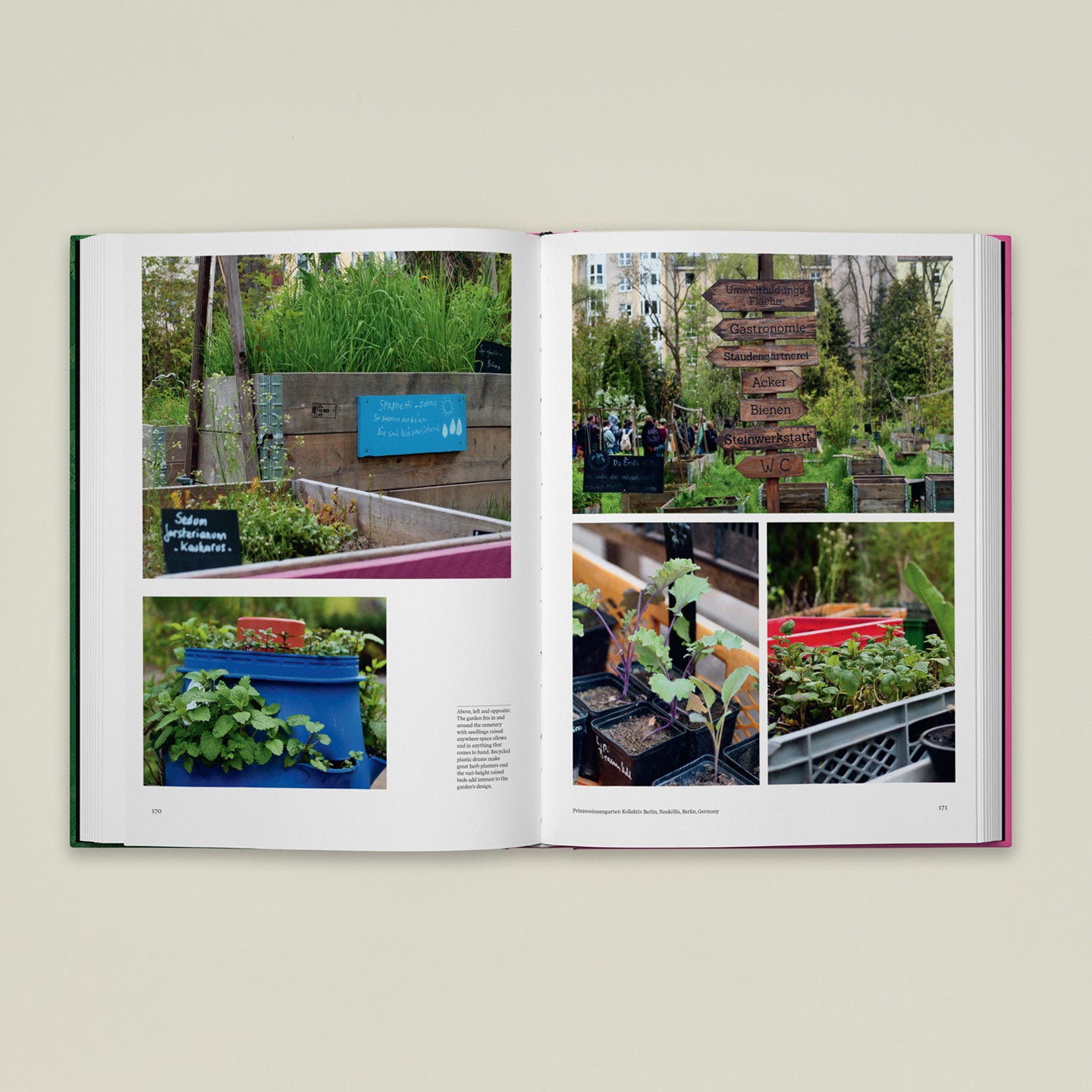 The Kitchen Garden book open