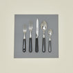 Pop 5 piece place setting in black