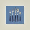 Pop 5 piece place setting in navy