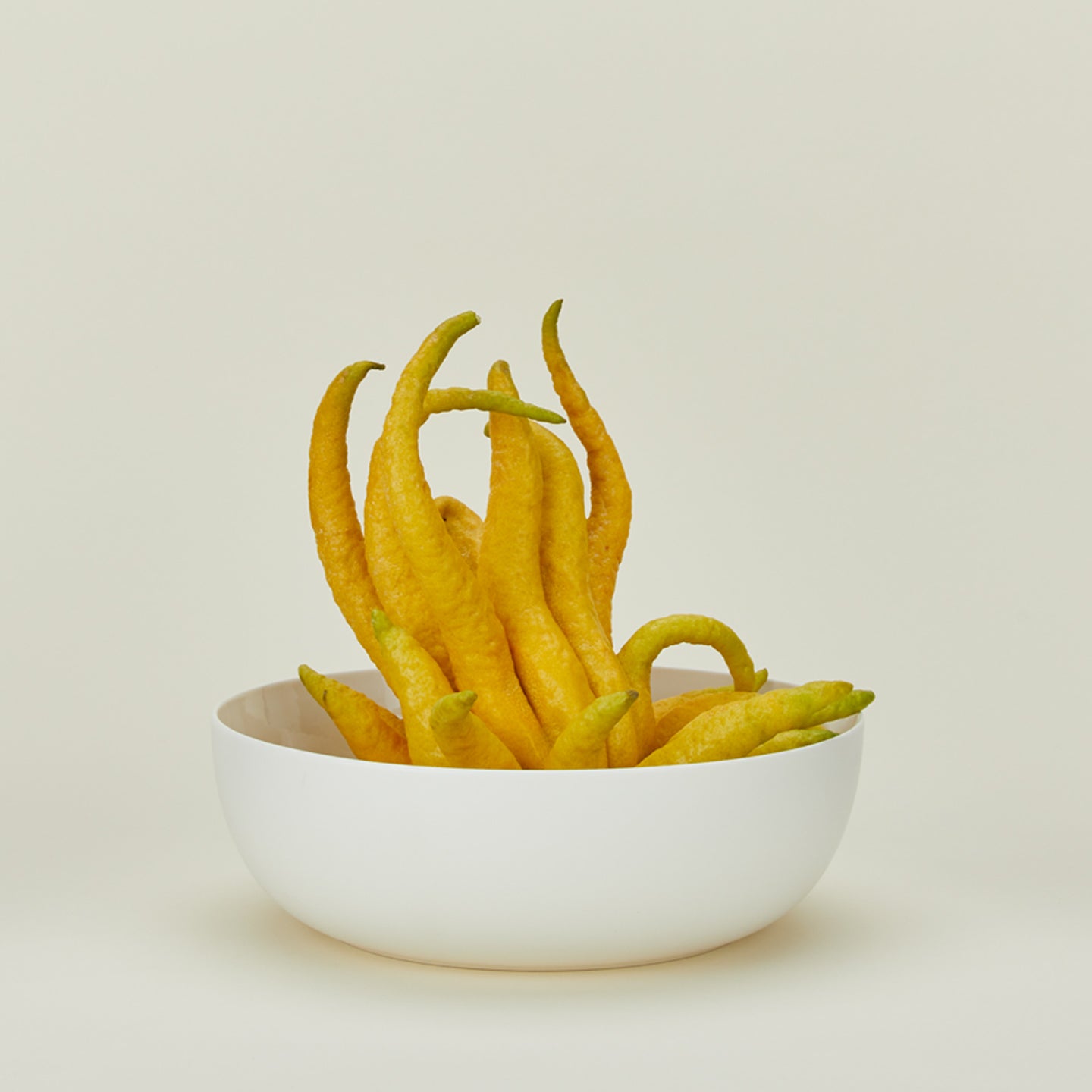 Simple porcelain serving bowl in white with fruit