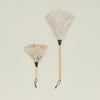 Feather Duster