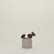 Dome Vase, Extra Small