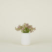 Stoneware Vase - Eggshell