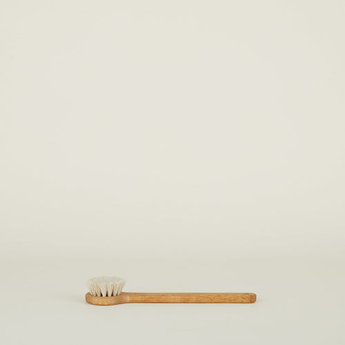 Bath Brush